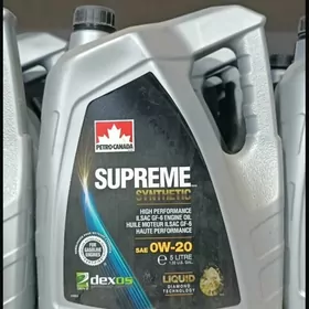 Petro Canada 0w20 5l