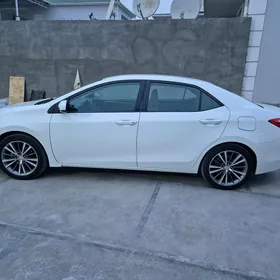 Toyota Corolla 2014