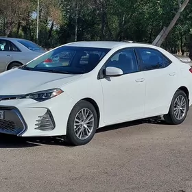 Toyota Corolla 2014