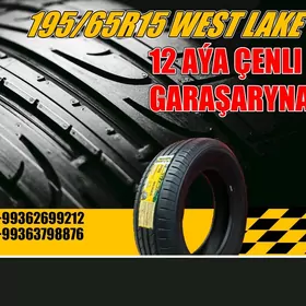 GARAŞARNA TEKER 195/65R15