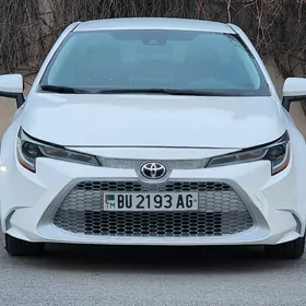 Toyota Corolla 2020