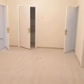 Anew poneljaý