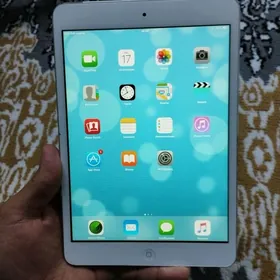 ipad mini