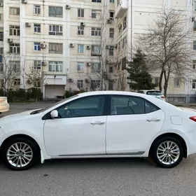 Toyota Corolla 2014