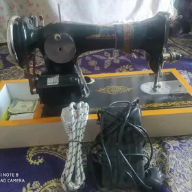 Matorly dikin maşyn kellesi
