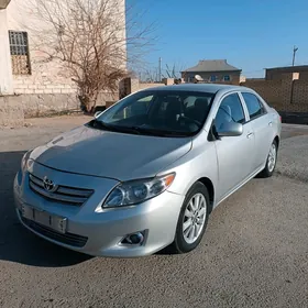 Toyota Corolla 2010