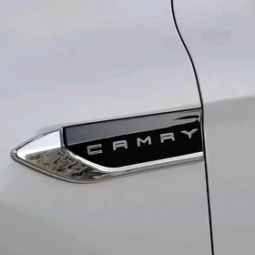 Camry krylo ýazgy