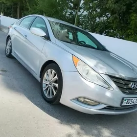 Hyundai Sonata 2010