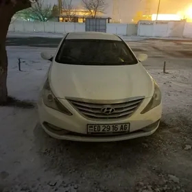 Hyundai Sonata 2010