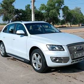 Audi Q5 2009