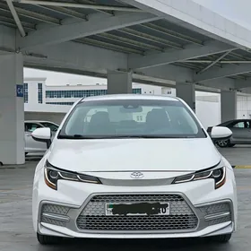 Toyota Corolla 2019