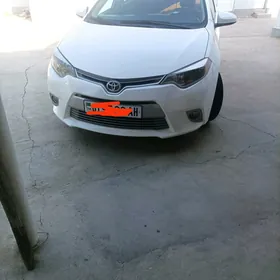 Toyota Corolla 2014