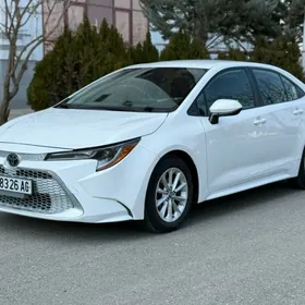 Toyota Corolla 2020