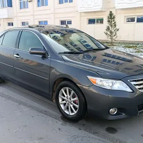 Toyota Camry 2011