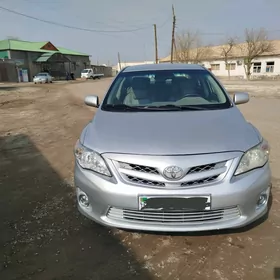 Toyota Corolla 2010