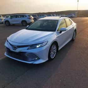 Toyota Camry 2021