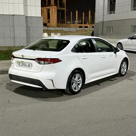 Toyota Corolla 2020