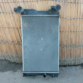 Carolla radiyator