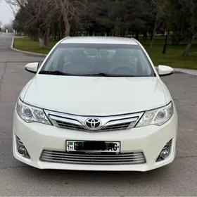 Toyota Camry 2013