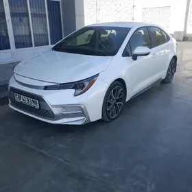 Toyota Corolla 2020