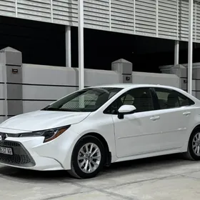 Toyota Corolla 2019