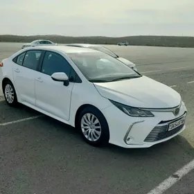 Toyota Corolla 2020