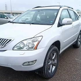 Lexus RX 330 2004