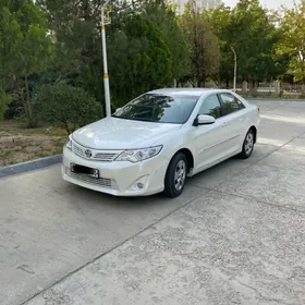 Toyota Camry 2013