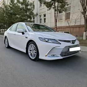 Toyota Camry 2019