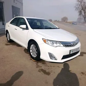 Toyota Camry 2013