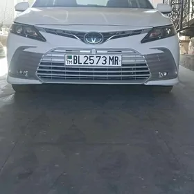 Toyota Camry 2019