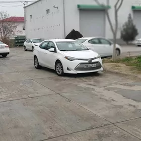 Toyota Corolla 2019