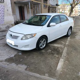 Toyota Corolla 2010