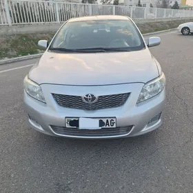 Toyota Corolla 2010