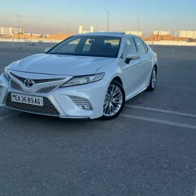 Toyota Camry 2019