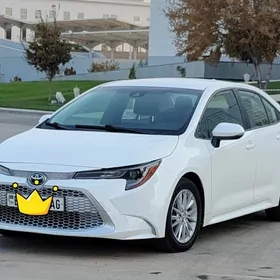 Toyota Corolla 2019