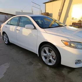 Toyota Camry 2010