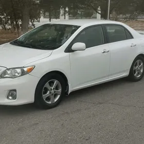 Toyota Corolla 2011