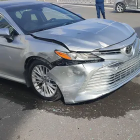 2018 camry (amerkanka)