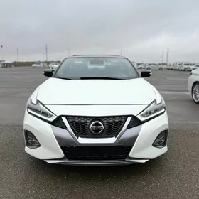 Nissan Maxima 2019