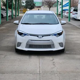 Toyota Corolla 2014