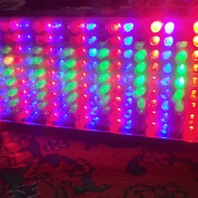 Toy spicka Led