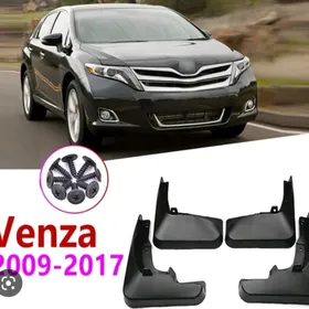 Venza Brazgawyk 2008-2017ýyl