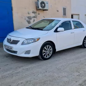 Toyota Corolla 2010