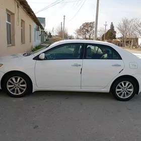 Toyota Corolla 2009