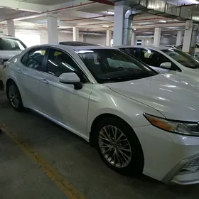 Toyota Camry 2019