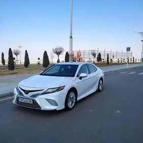 Toyota Camry 2019