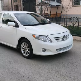 Toyota Corolla 2010