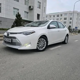 Toyota Corolla 2019