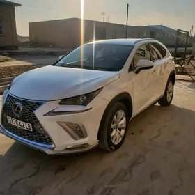 Lexus NX 300 2021